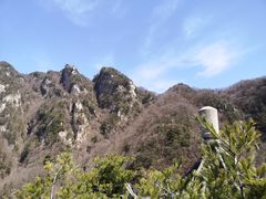 -王顺山国家森林公园