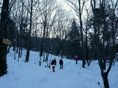 -雪谷