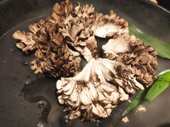 有机舞菇-煲宫猪肚鸡(晶品店)