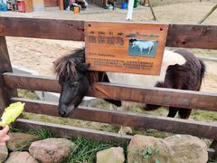 -黄龙溪欢乐田园