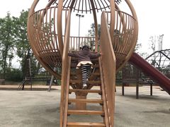 -枫香湖儿童公园