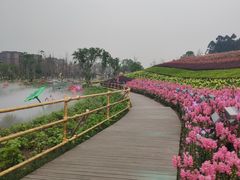 -天府芙蓉园