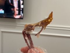 -潮禧记炸鸡翅(中旅店)