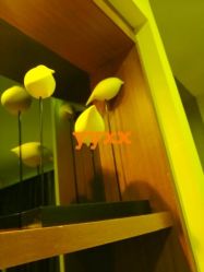 -Yestar杭州艺星医疗美容医院