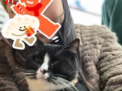 -兄弟鸡排.芋泥香酥鸭(淮海街店)