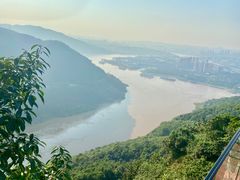 -铁山坪森林公园