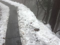 -东天目山风景区