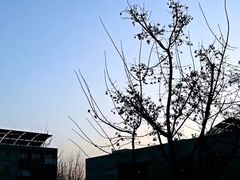 -中央戏剧学院(昌平校区)