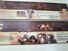 -Belice Chocolate Kingdom