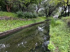 -北坞公园