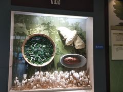 -杭州西湖丝绸文化博物馆