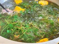 -辉煌牛肉杂园
