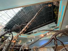 -安徽省地质博物馆