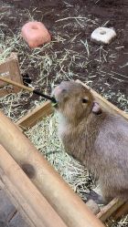 -Zoolung Zoolung动物主题公园(海信广场店)