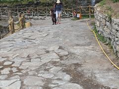 -芦芽山旅游度假区
