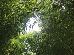 -竹泉村旅游度假区