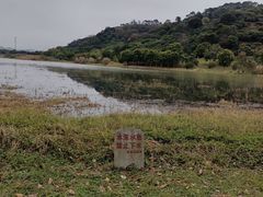-风云岭森林公园