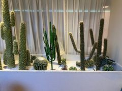 -悦海·家宴·冰花皮皮虾大锅贴(宝龙店)