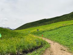 -扁都口生态休闲旅游区