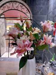 -兴亚瑜伽20年老馆