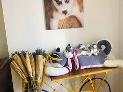 -Husky Go! 哈士奇体验馆·宠物咖啡厅狗咖