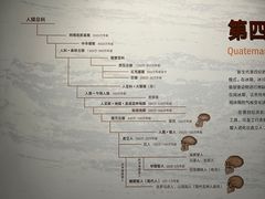 -四川大学博物馆
