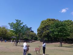 -奈良公园