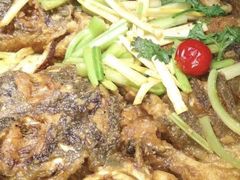 -老板恋上鱼(恒隆广场店)