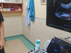 -动物缘宠物医院·骨科·猫科(西二环店)