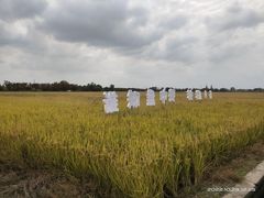 -嘉北郊野公园
