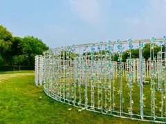 -白塔湖国家湿地公园