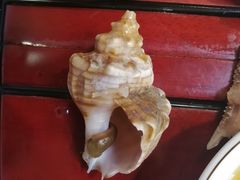 -百姓百味海鲜酒楼(粤垦路总店)