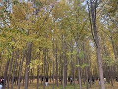 -汉景帝阳陵博物院