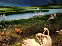 -中国湿地博物馆