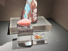 -中国地质博物馆