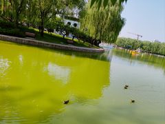 -团结湖公园