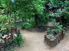 -呀路古热带植物园