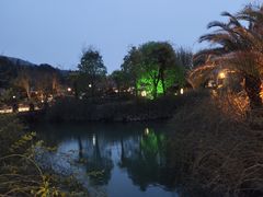 -咸宁万豪温泉谷度假区