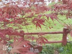 -凤凰沟景区