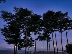 -深圳湾公园(南山区)