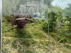 -泉州海丝野生动物世界