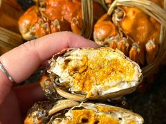 -蟹村草堂·苏式园林人文农家·大闸蟹