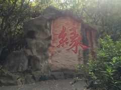 -杭州黄龙洞