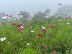 -阳台山自然风景区