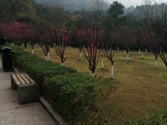 -重庆歌乐山烈士陵园