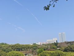 -东莞植物园