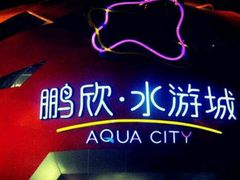 -鹏欣水游城