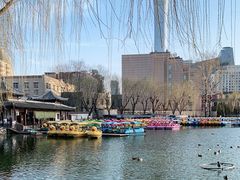-团结湖公园