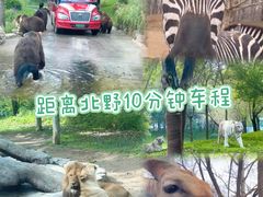 -廊坊固安福朋喜来登酒店