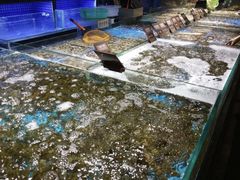 -徐记海鲜(观沙岭|滨江新城店)